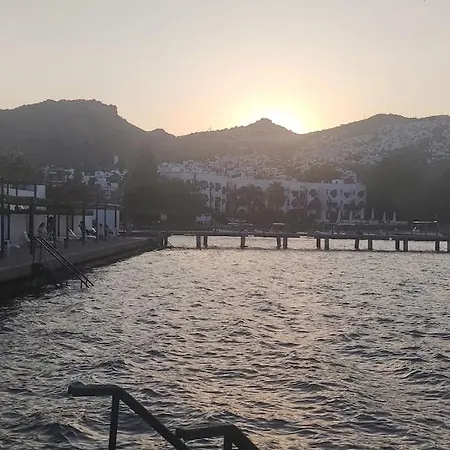 호텔 Bodrum / Relaxing, Swimming, Sunshine And Sunbathing!