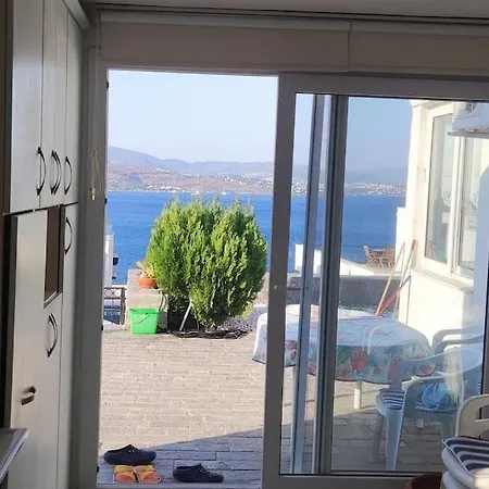 Bodrum / Relaxing, Swimming, Sunshine And Sunbathing! 호텔