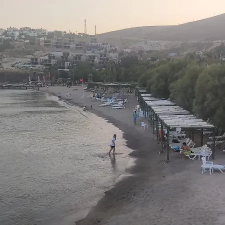 Bodrum / Relaxing, Swimming, Sunshine And Sunbathing! 호텔