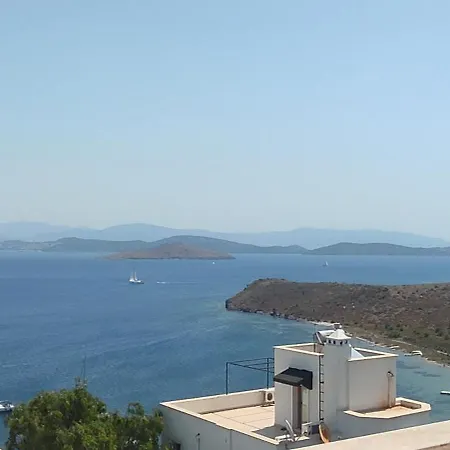 Bodrum / Relaxing, Swimming, Sunshine And Sunbathing! 호텔