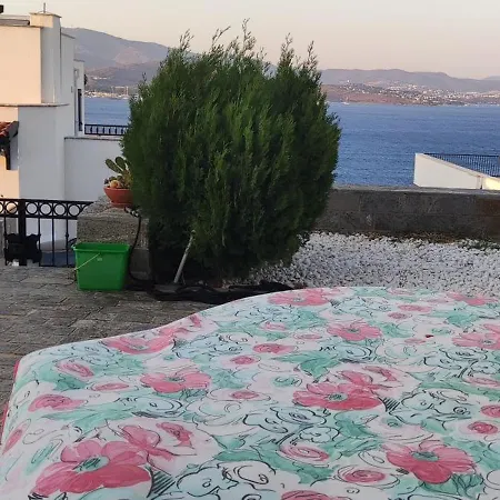 Hotel Bodrum / Relaxing, Swimming, Sunshine And Sunbathing! Gurece